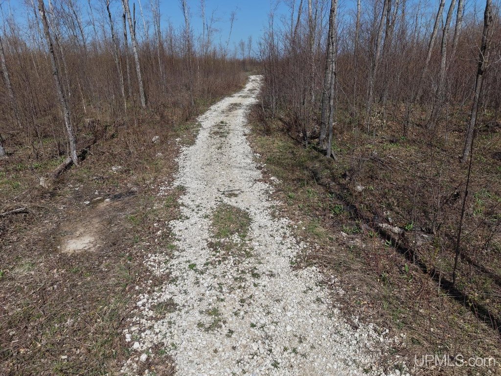 Picture 32
