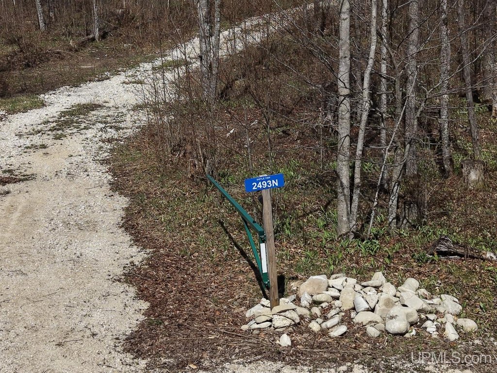 Picture 48