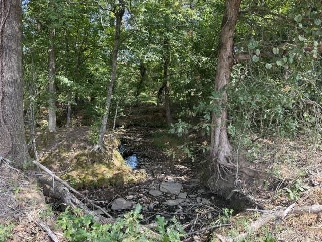 Picture 15