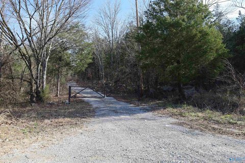 Woodville Acreage: Open and Wooded