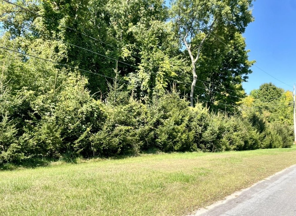 Picture 8