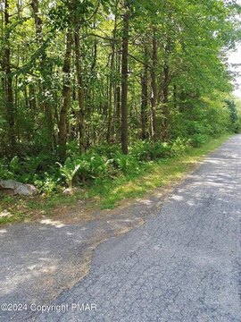 Two Wooded Lots in Jim Thorpe