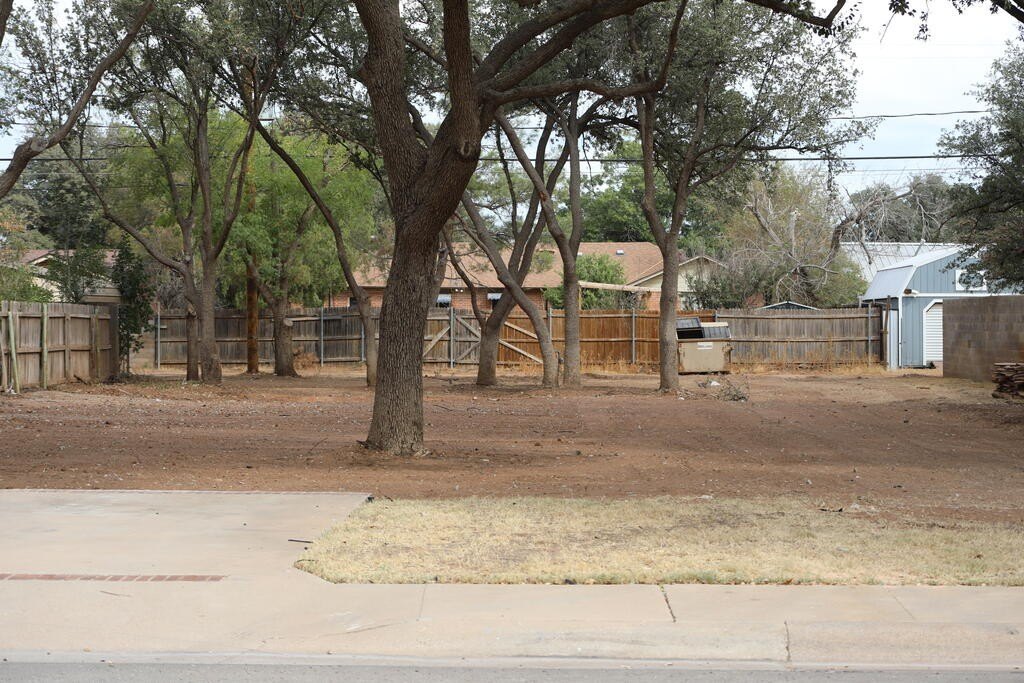 Picture 6