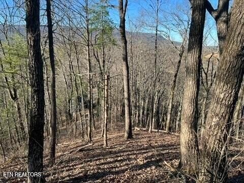 Lots & Acreage, Sevierville, TN