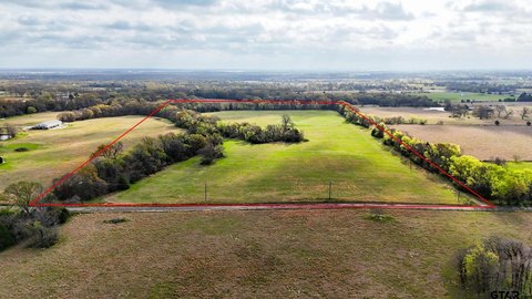 Mature Tree Farmland Acreage