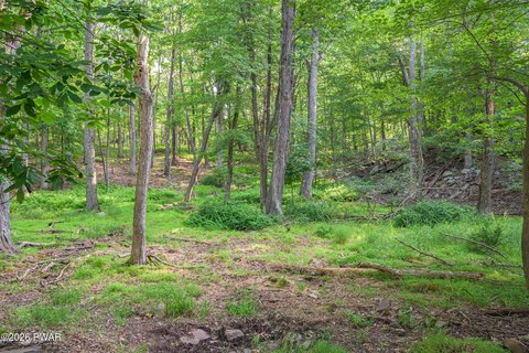 LAND - Dingmans Ferry, PA