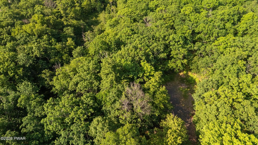 Picture 47