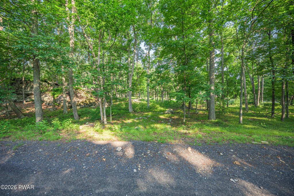 Picture 22