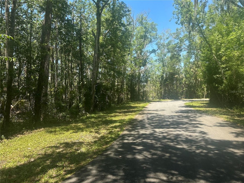 Picture 4