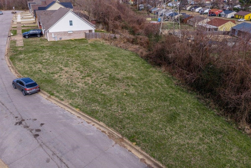 Picture 3
