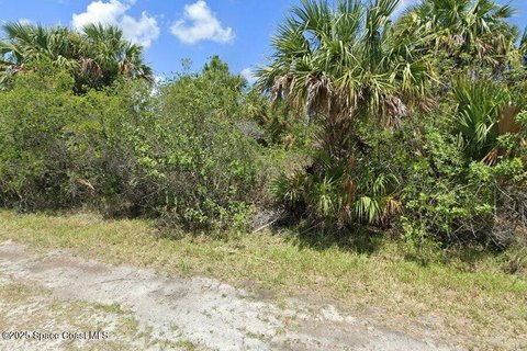 Vacant Lot in Palm Bay