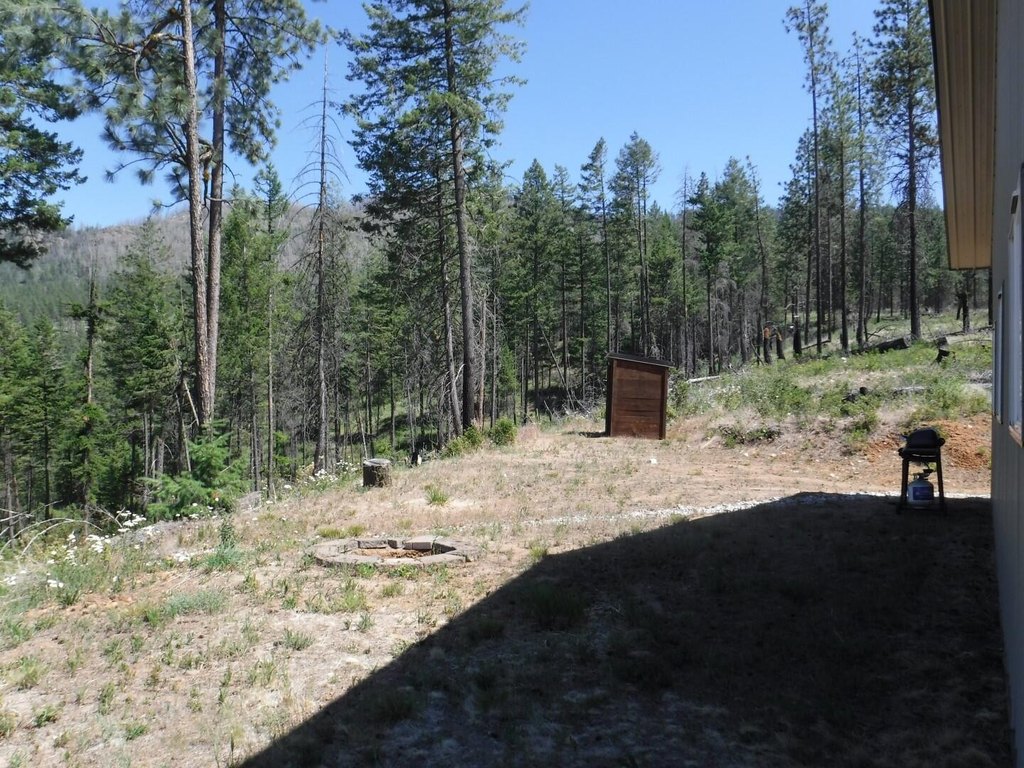 Picture 25