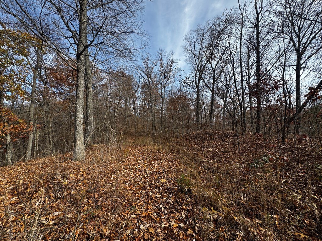 Picture 4