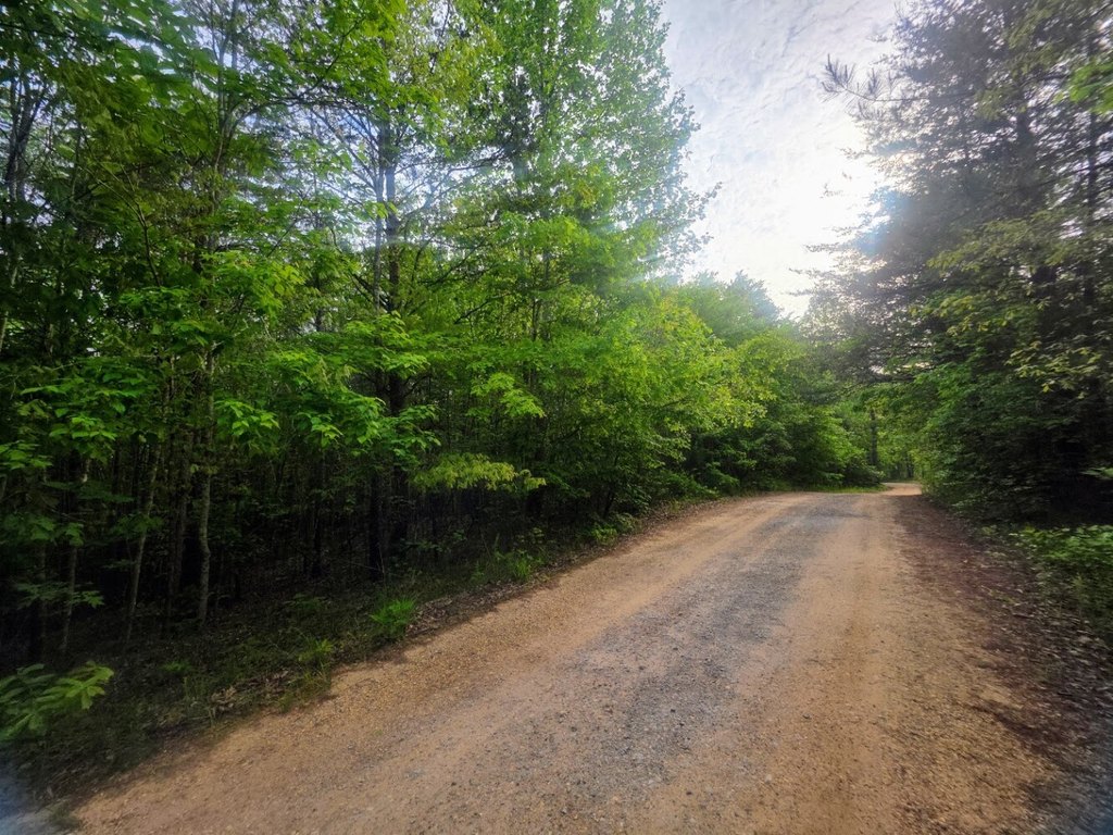 Picture 9
