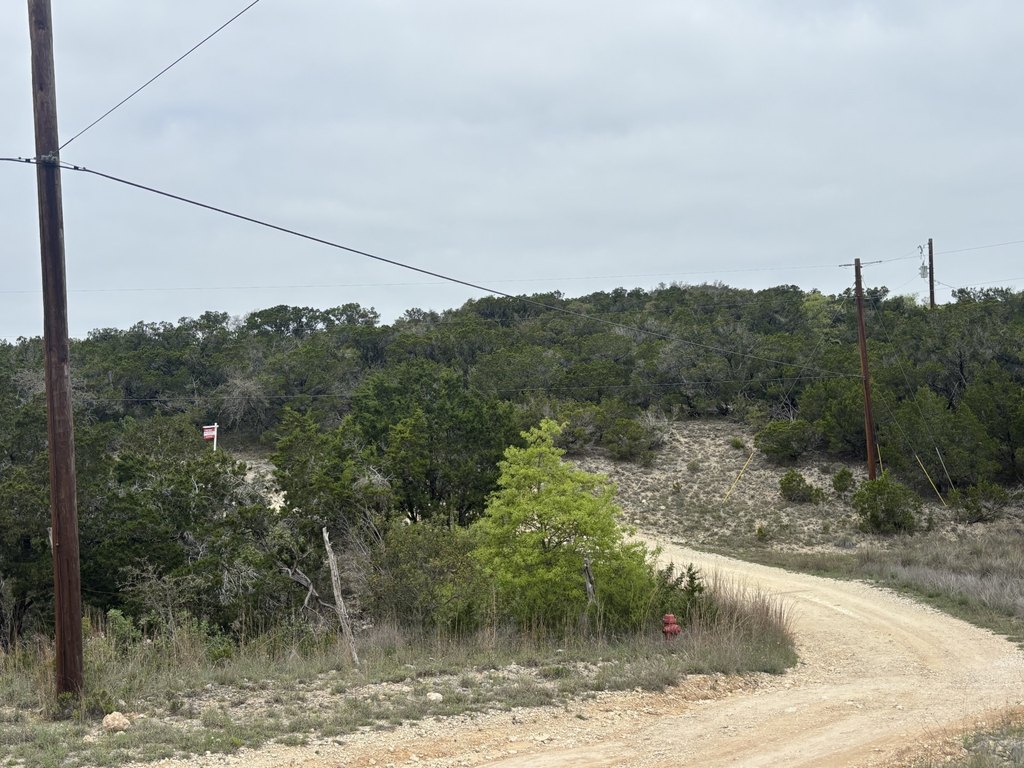 Picture 14