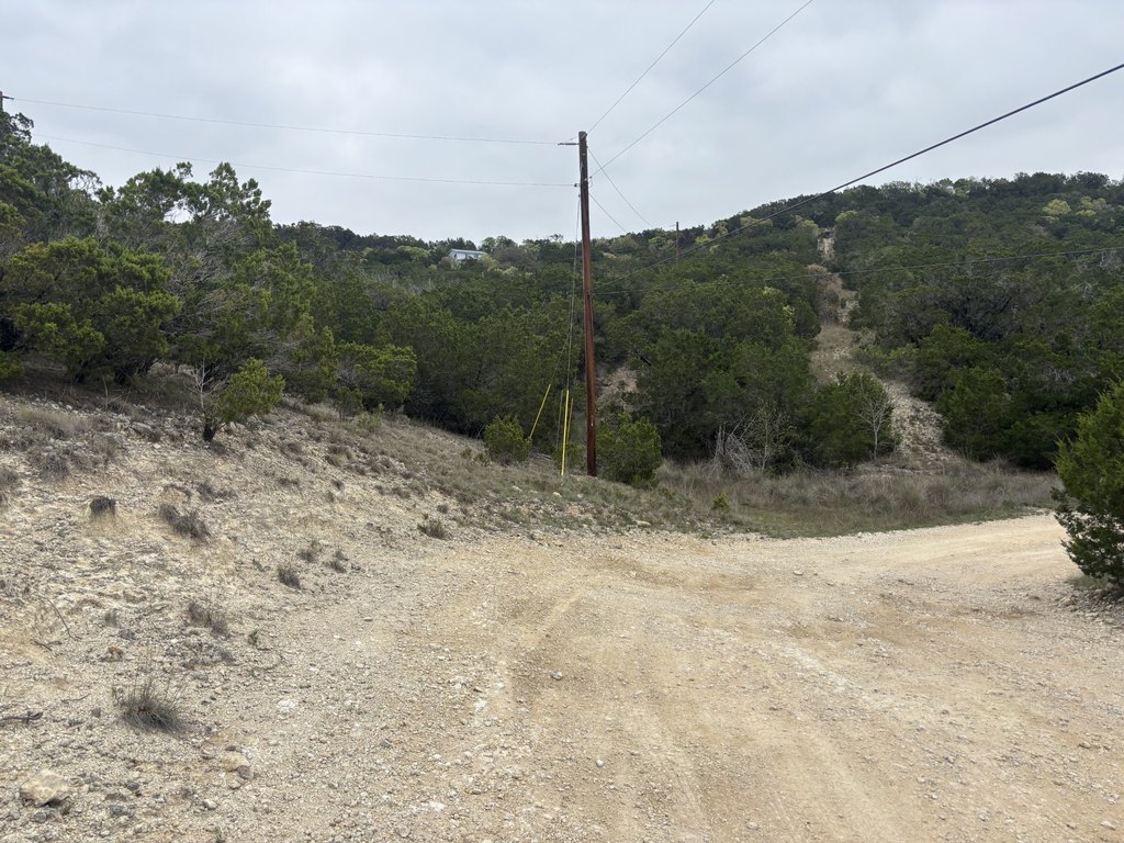 Picture 15