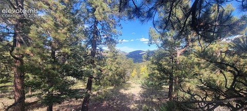 Land, Guffey, CO