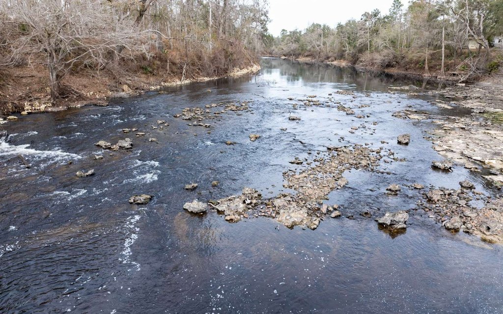 Picture 15