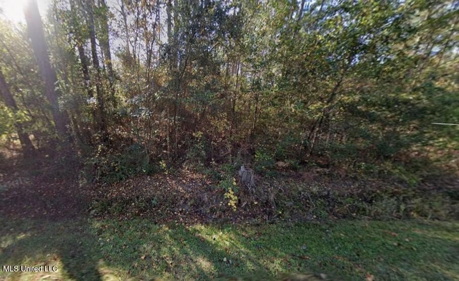 Wooded Lots Near Gulf Coast