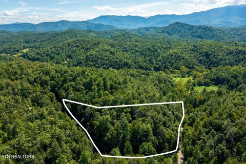 Lots & Acreage, Cosby, TN