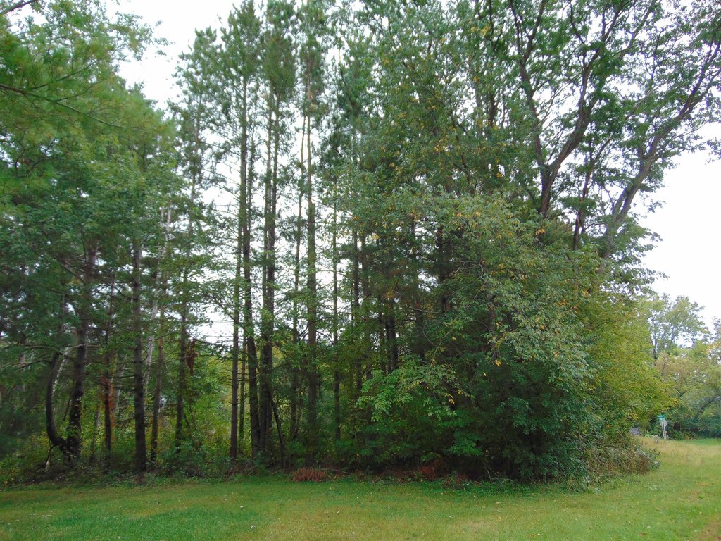 Picture 18
