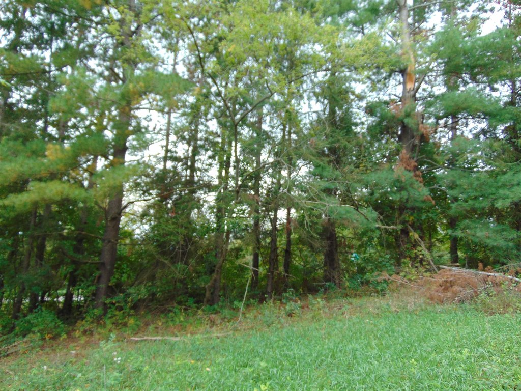 Picture 12