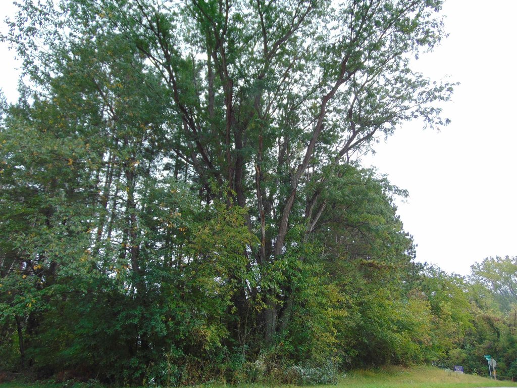 Picture 19
