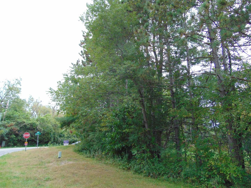 Picture 4