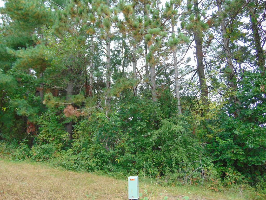 Picture 16