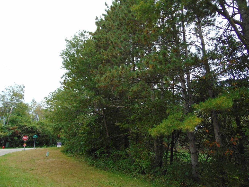 Picture 2