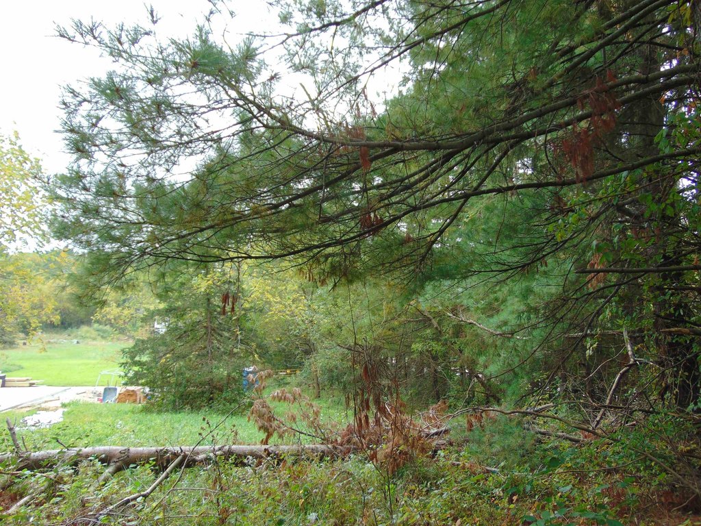 Picture 9