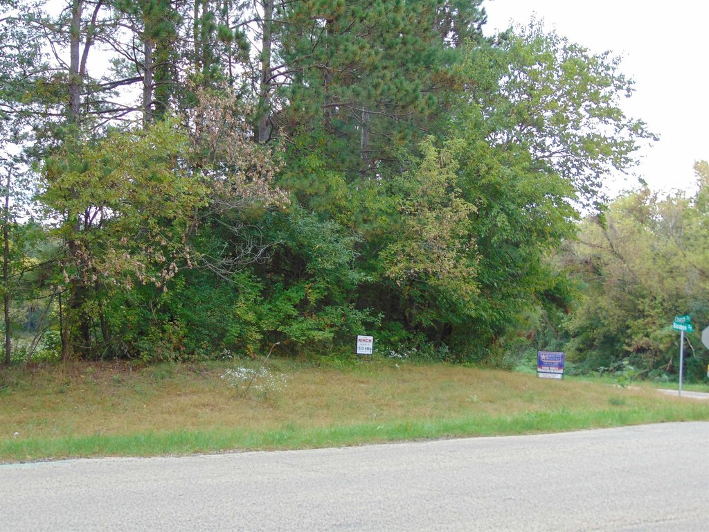 Picture 6