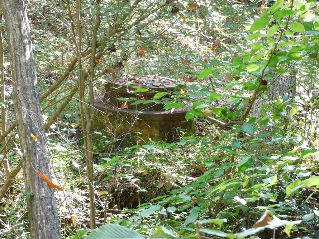 Picture 7