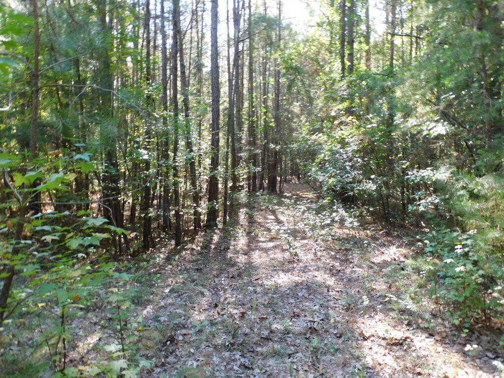 Picture 13