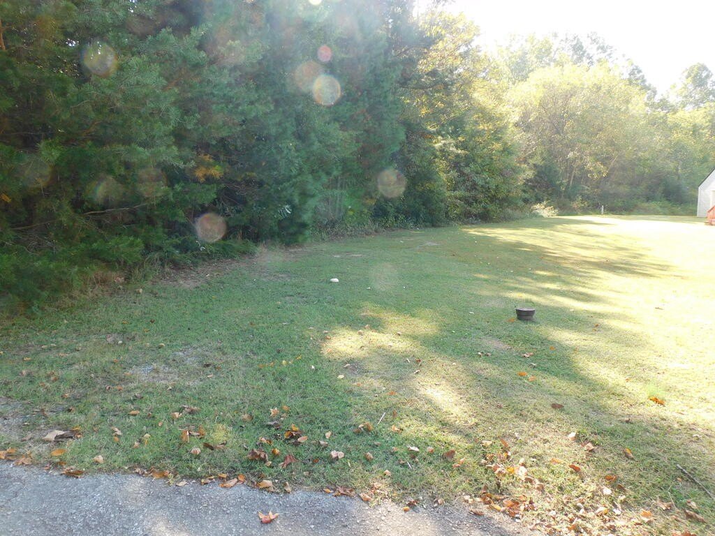 Picture 16