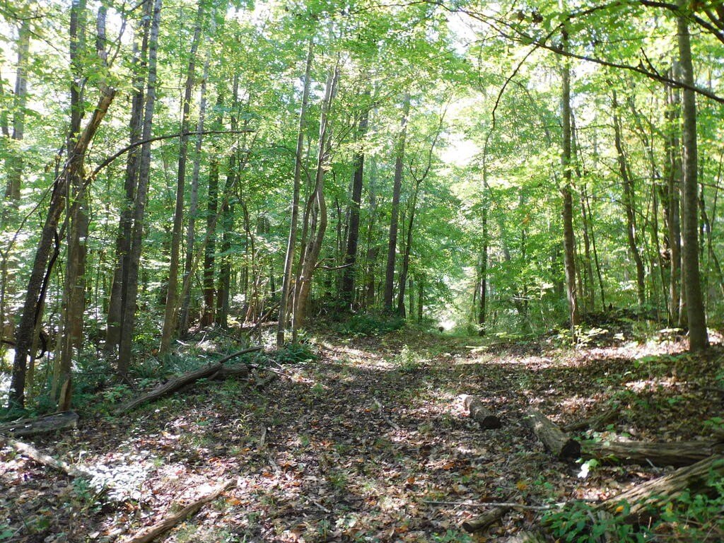 Picture 12