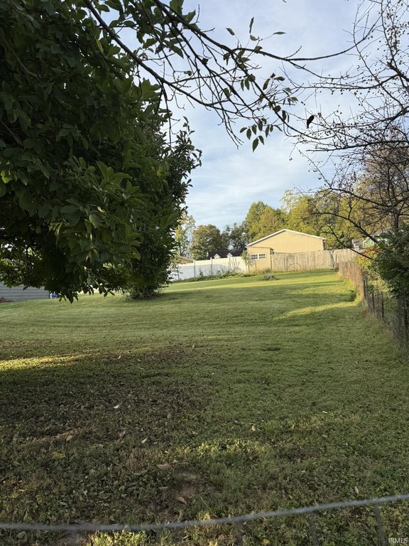 Picture 6