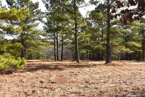 Three Acres Near Dogwood Lake
