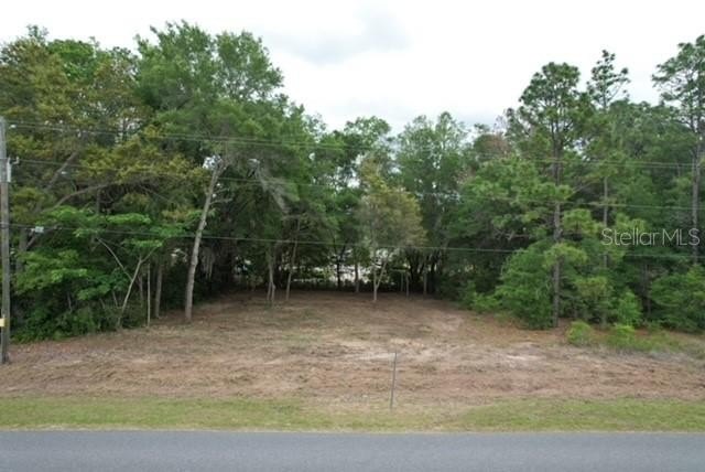 Land - DUNNELLON, FL