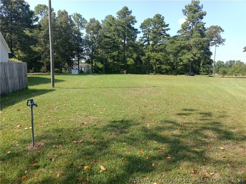 Picture 4