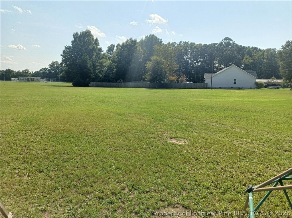 Picture 15