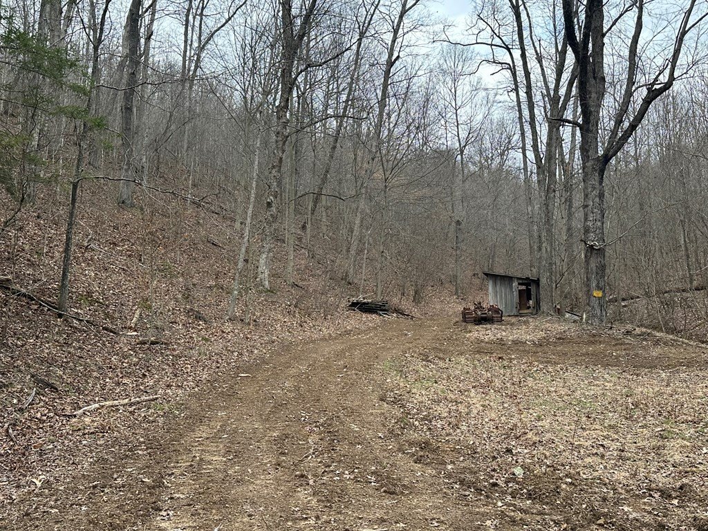Picture 14