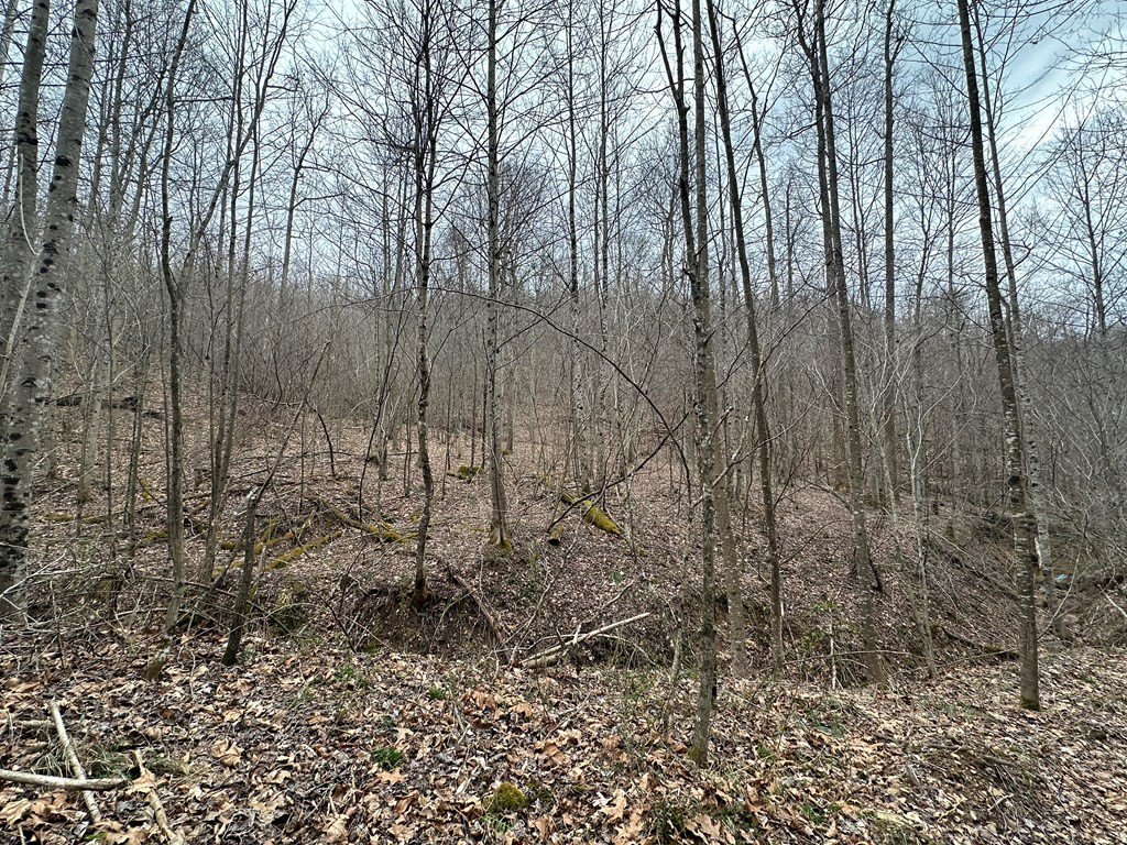 Picture 16