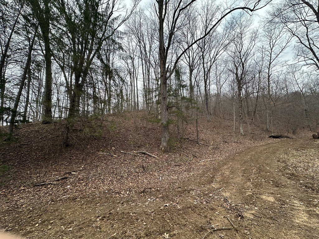 Picture 13
