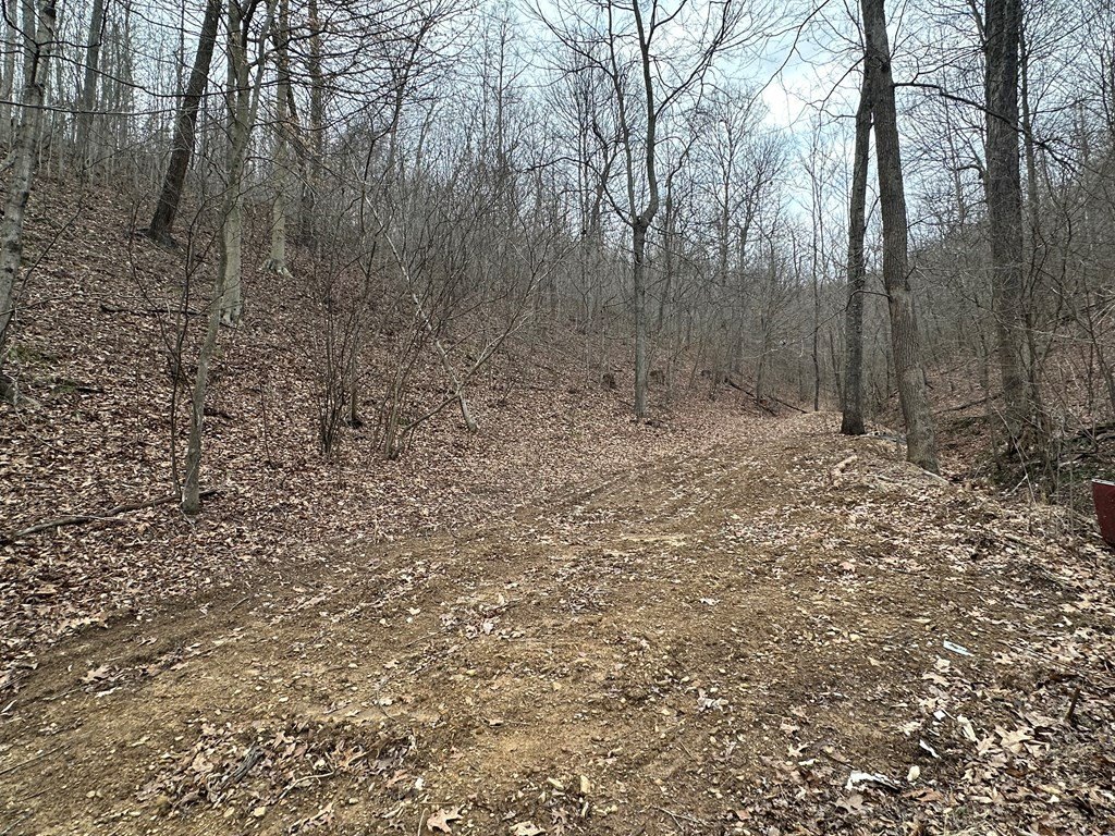 Picture 12