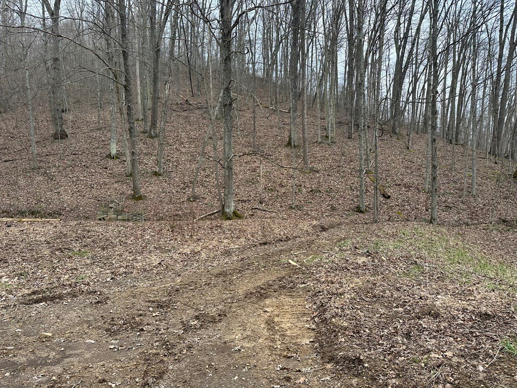 Picture 15