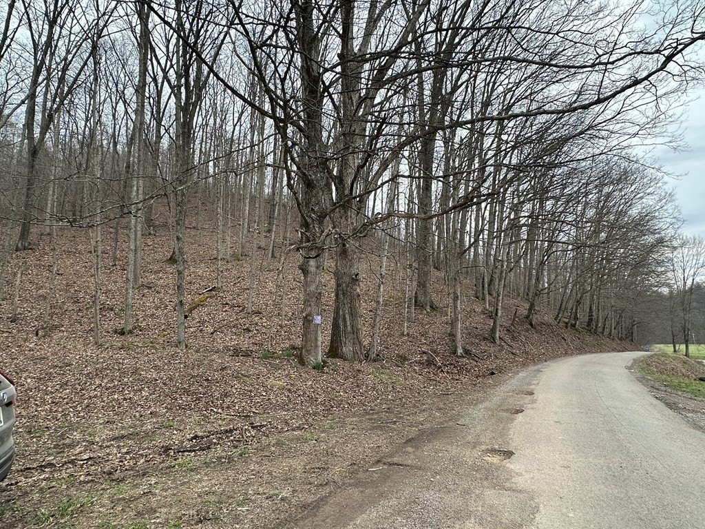 Picture 9