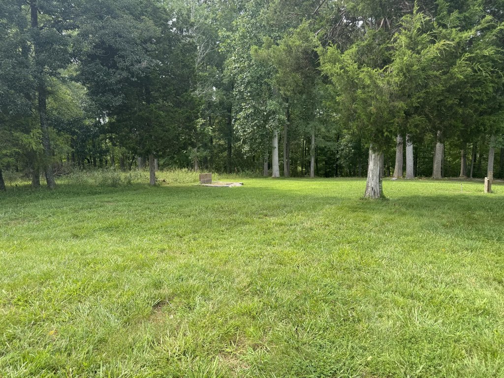 Picture 4