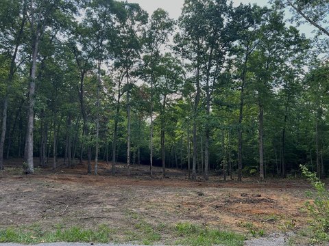 LAND - Spencer, TN