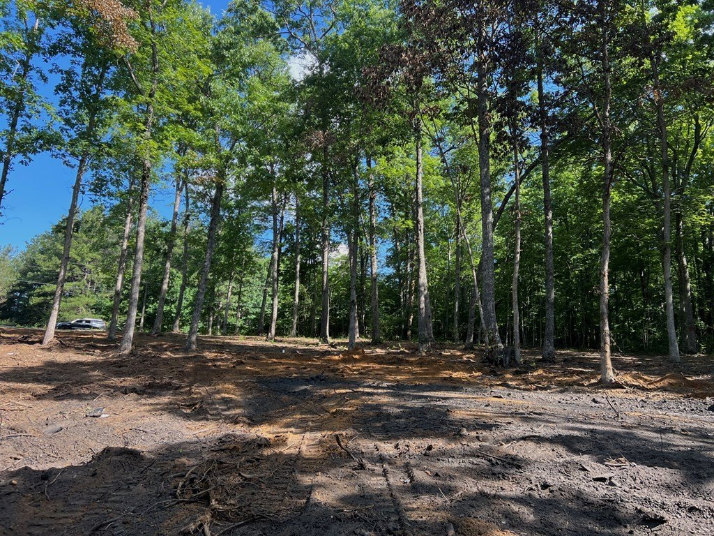 Picture 19